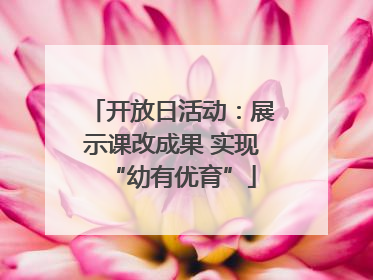 开放日活动：展示课改成果 实现“幼有优育”